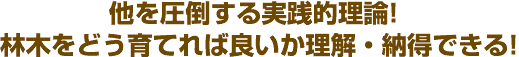 他を圧倒する実践的理論！広葉樹をどう育てれば良いか理解・納得できる！